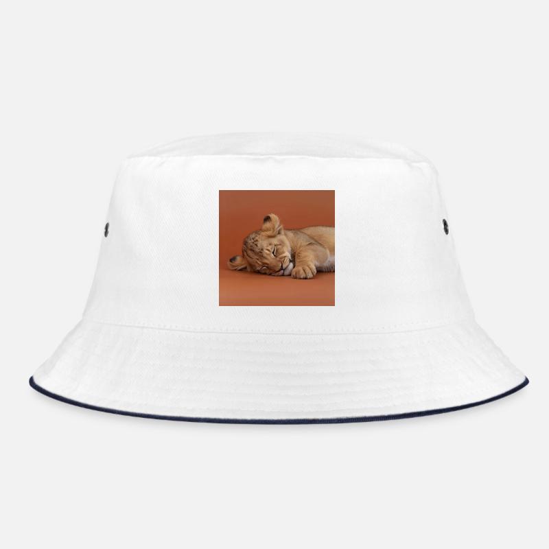 Petit guépard endormi Bob