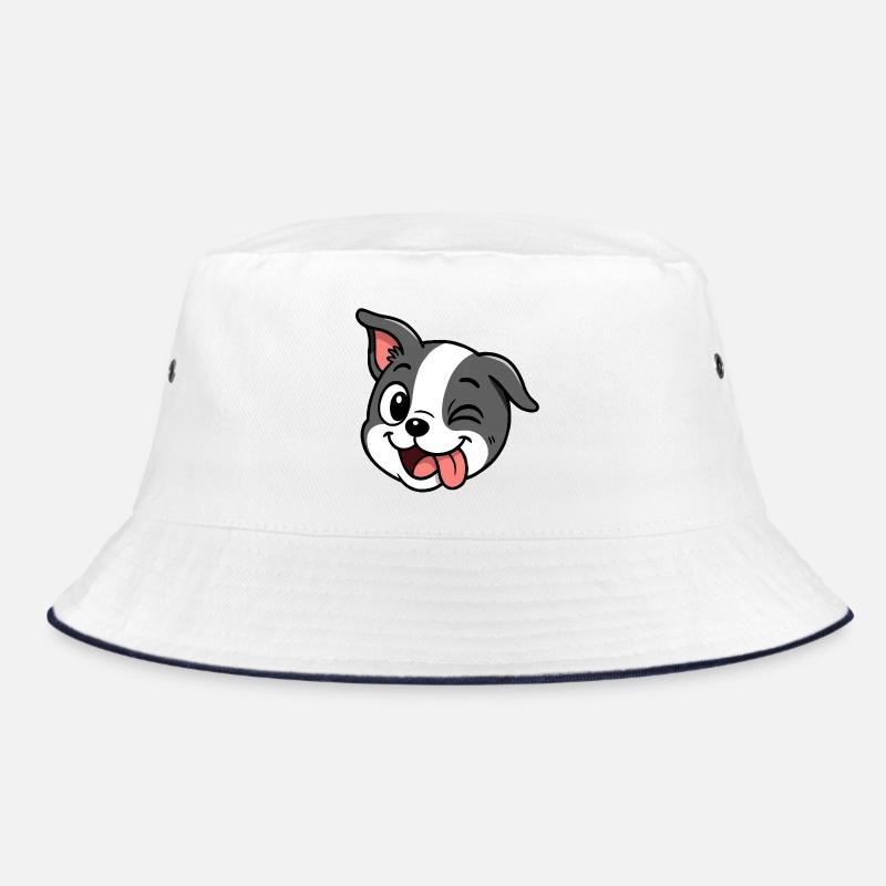 Boston - Espiègle Bob