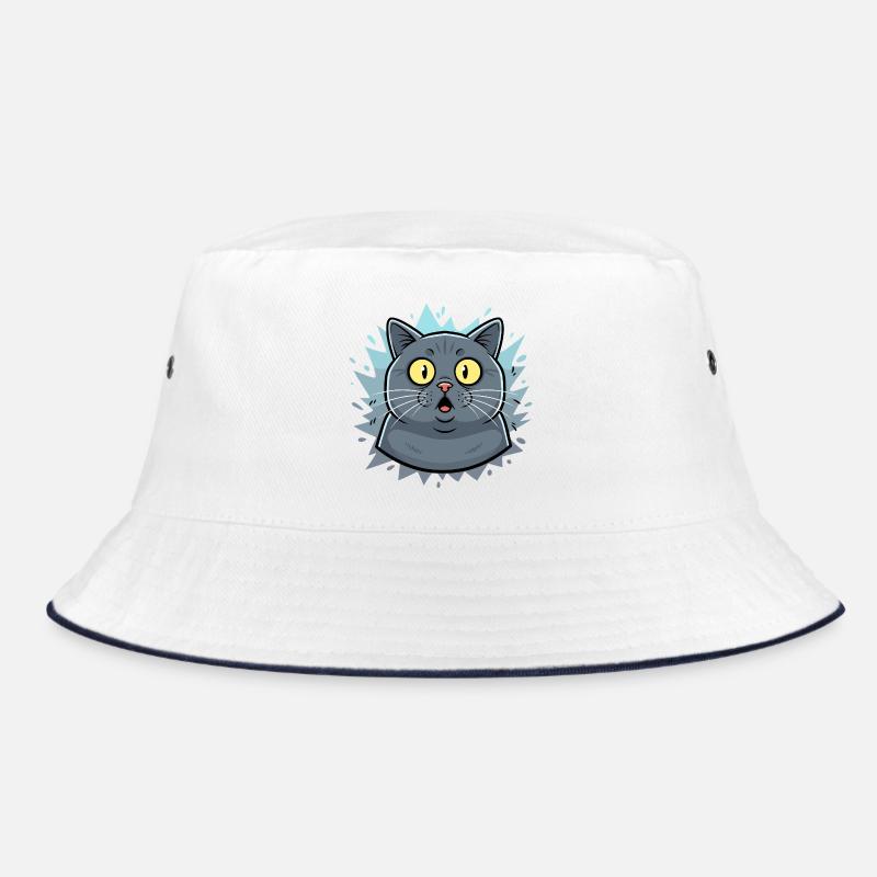 Portrait surpris de chat avec flashs Bob