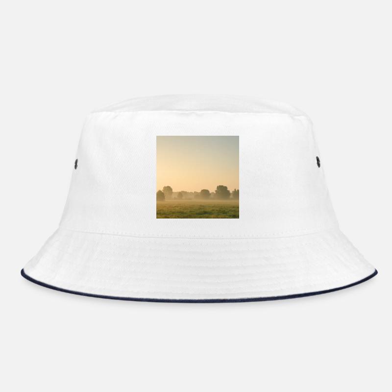 Brouillard matinal sur la prairie dorée Bob