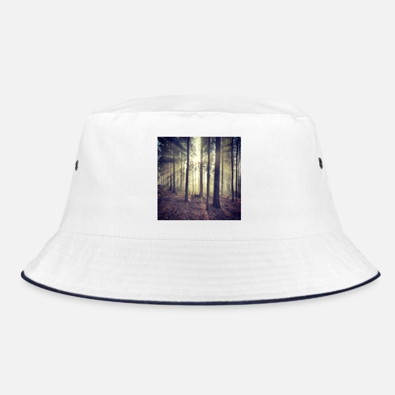 Rayons de soleil Lumière de la forêt Bob