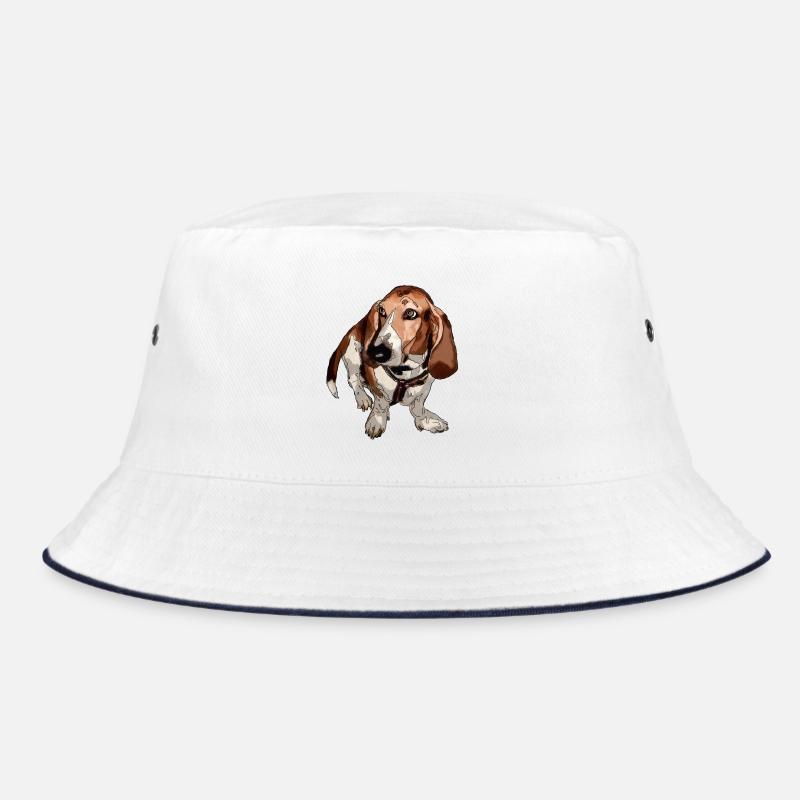 Basset Bob