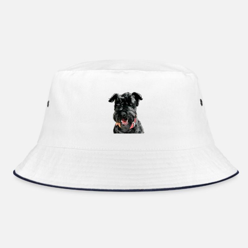 Kerry Blue Terrier Bob
