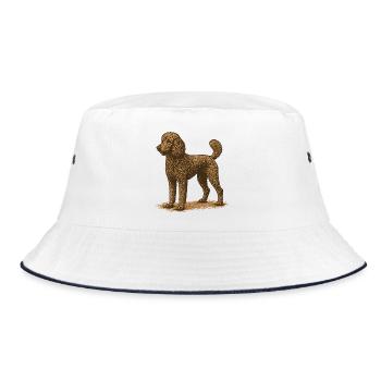 Caniche - Bob - blanc/marine - Devant
