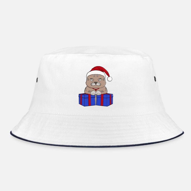 Mignon chat Père Noël Bob