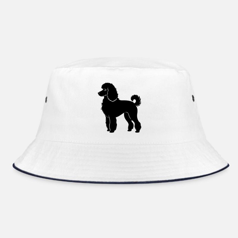Chien caniche Bob