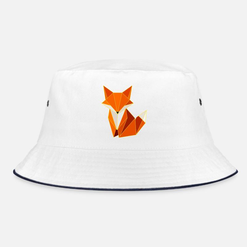 Conception de la géométrie des polygones Fox Bob