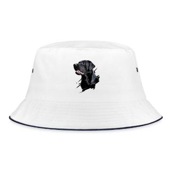 Labrador - Bob - blanc/marine - Devant
