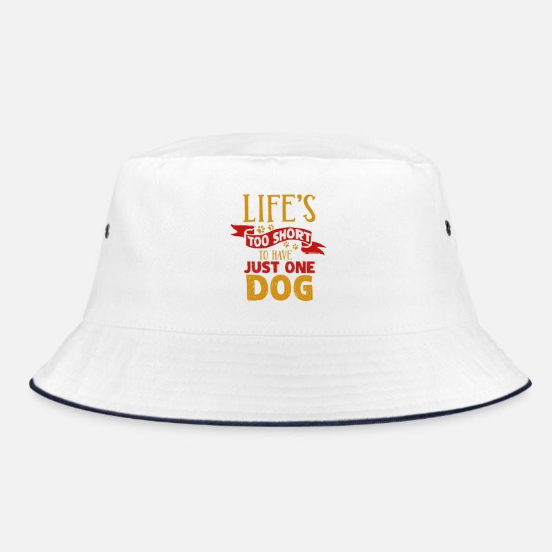 chien Bob