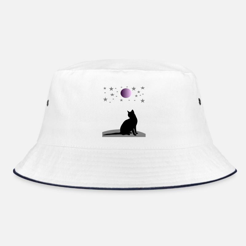 Ciel étoilé avec lune et chat Bob