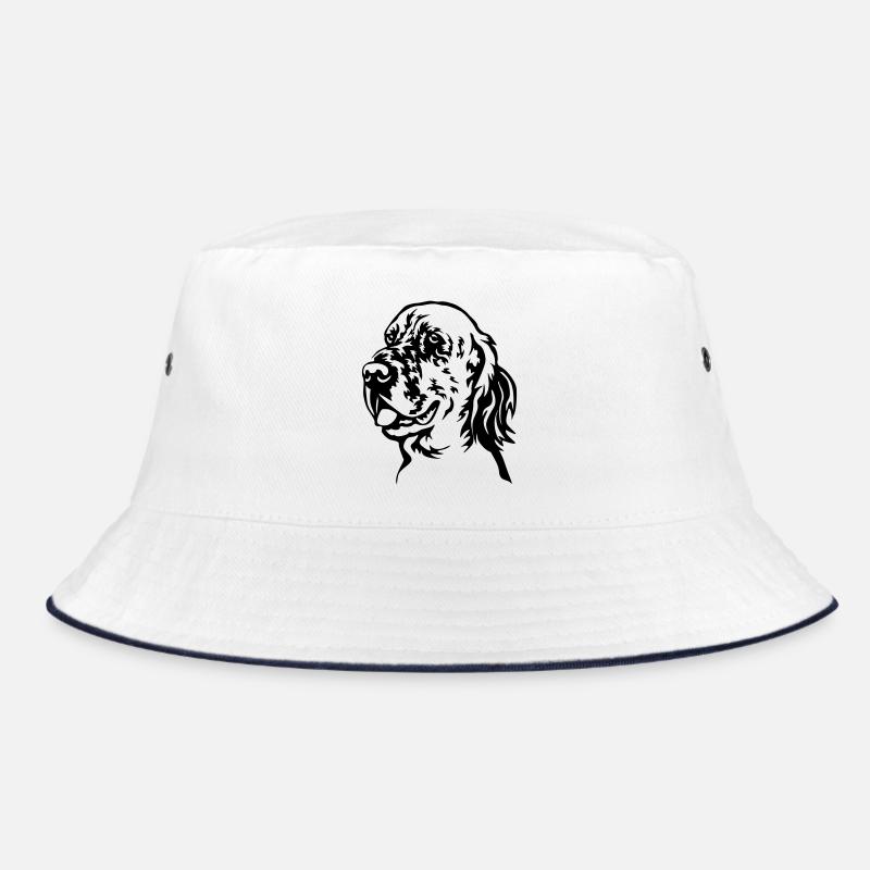 Chef de setter anglais Bob