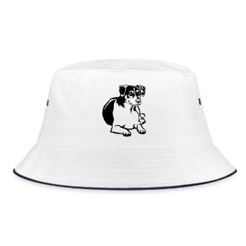 Dansk Svensk Gaardhond - Bob - blanc/marine - Devant