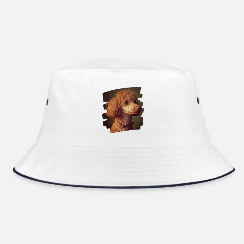 Caniche Bob