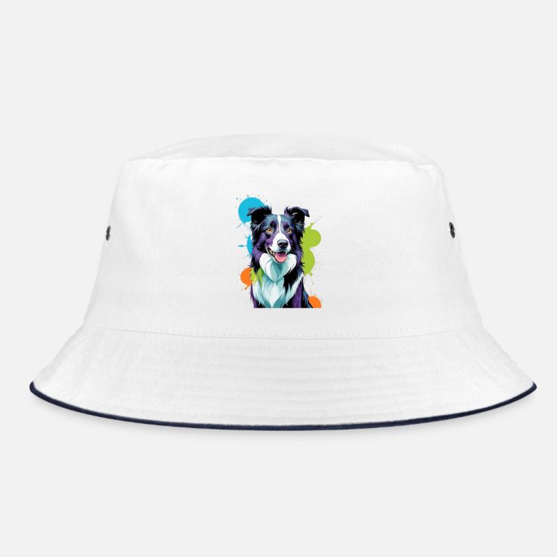 Border Collie coloré Bob