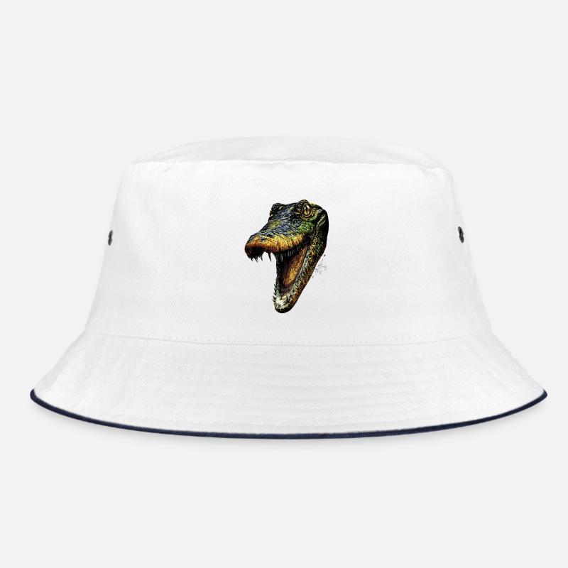 Caïman Crocodile Alligator Reptiles Crocodile Caïmans Bob