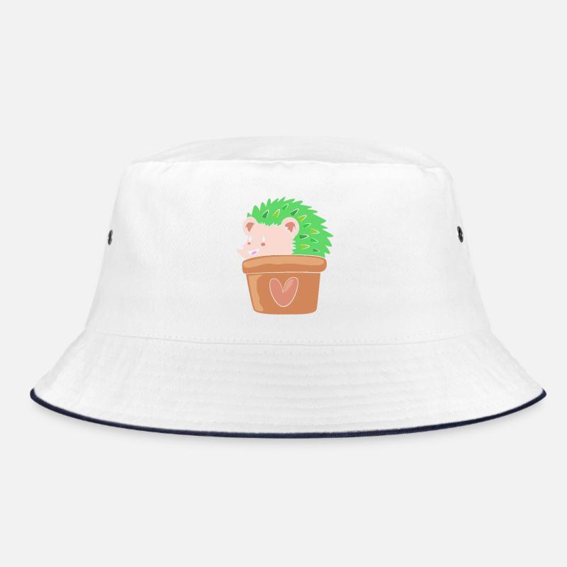 Plante Cactus Cactus Bob