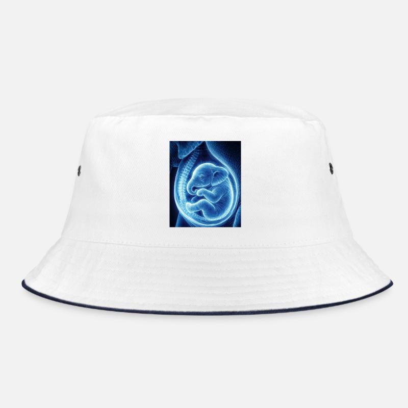 Bébé ultrasonique bleu dans le ventre Bob