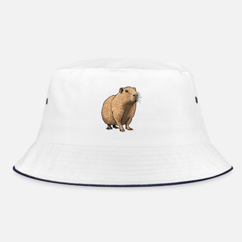 Illustration des tons de la nature sur le capybara Bob