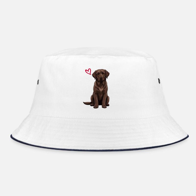 Labrador brun, Labrador brun Bob