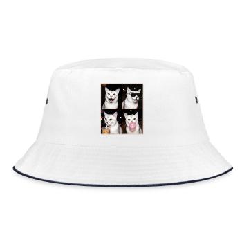 Chats Burmilla Chat - Bob - blanc/marine - Devant