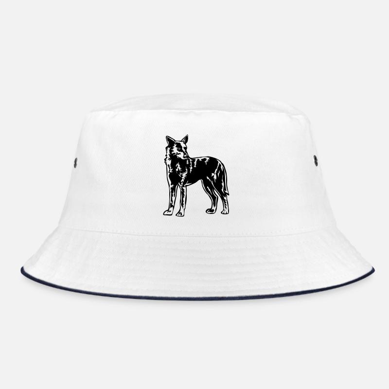 Hollandse Herder - Bob - blanc/marine