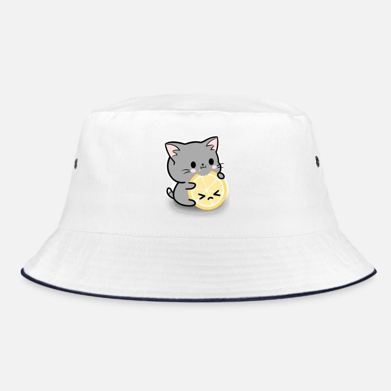 Chat citron - Bob - blanc/marine