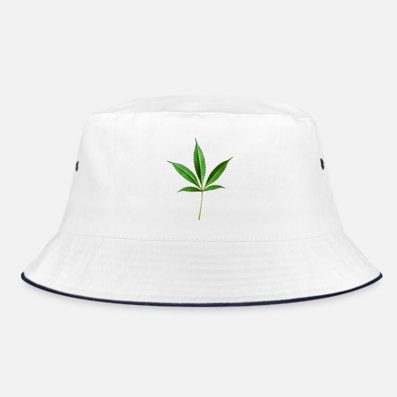 Chanvre de marijuana (cannabis) Bob