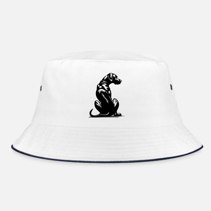 Rhodésian Ridgeback Bob