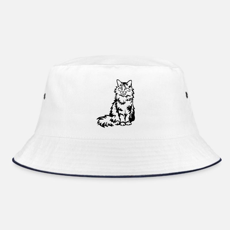 Chat des forêts norvégiennes Bob