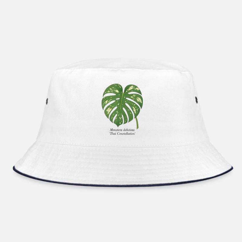 Plante élégante - Thai Constellation Monstera Bob