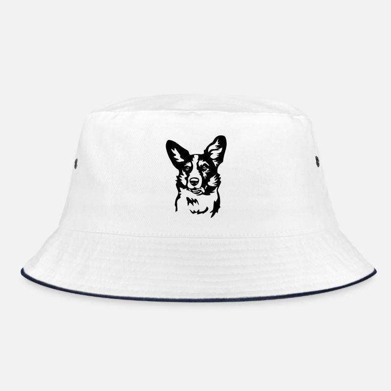 Tête de Welsh Corgi Bob