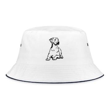 Rhodesian Ridgeback - Bob - blanc/marine - Devant