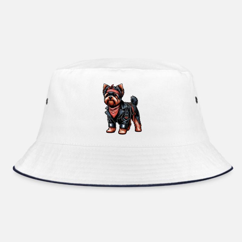 Yorkshire Terrier Rocker Bob