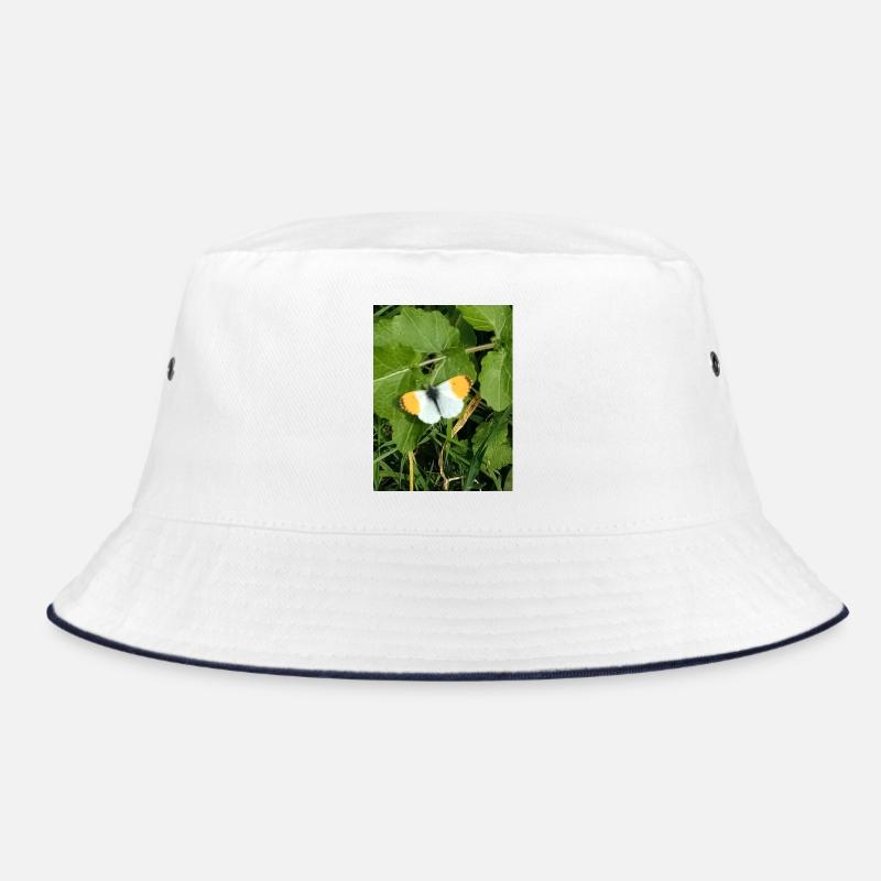 Papillon blanc orange bordures noires - Bob - blanc/marine