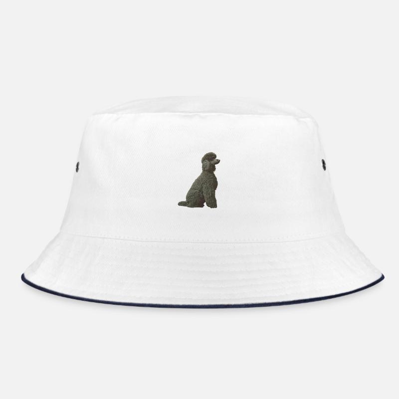 Caniche noir Bob
