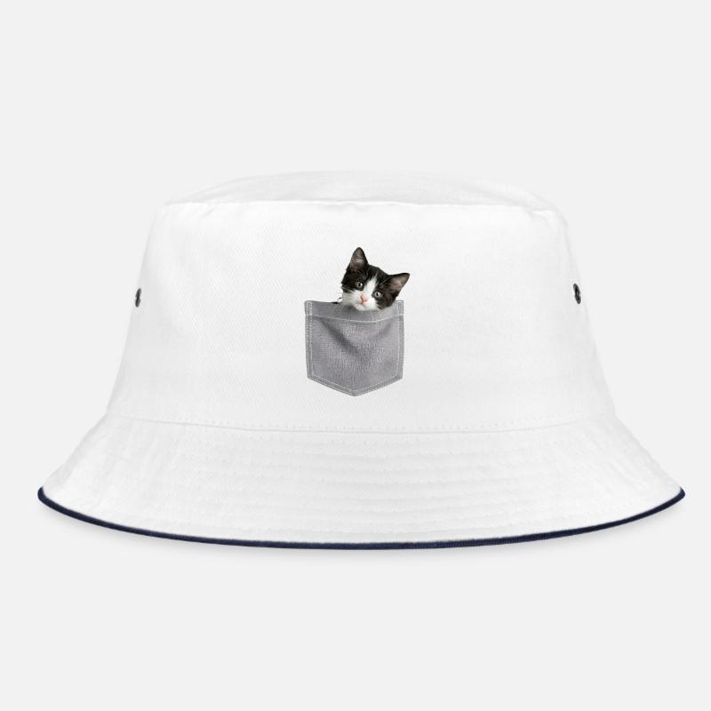 Cat Pocket jette un coup d’œil à un chat mignon dans la poche Bob