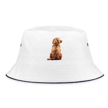 Golden retriever - Bob - blanc/marine - Devant