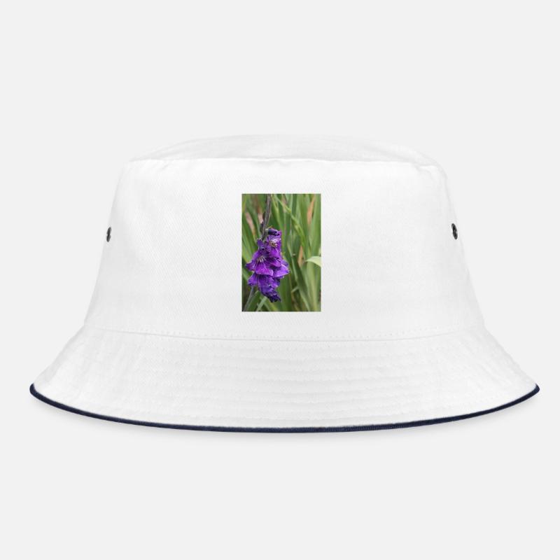 Glaïeul – amidon en fleurs Bob
