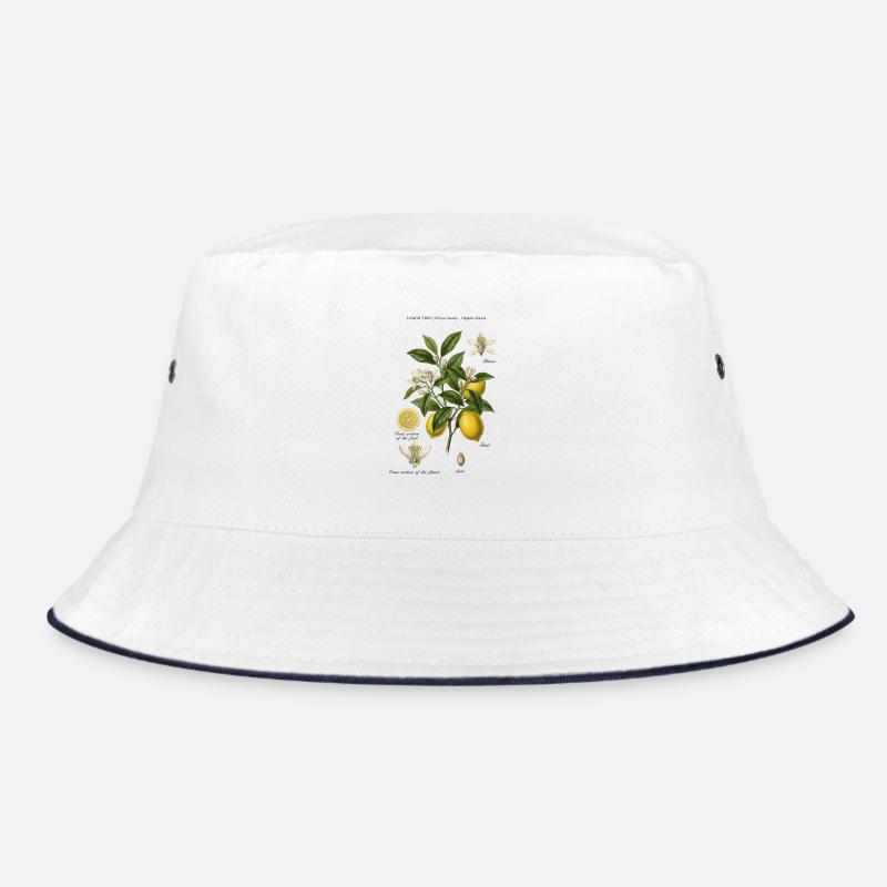 Branche botanique vintage Lemon Tree Bob