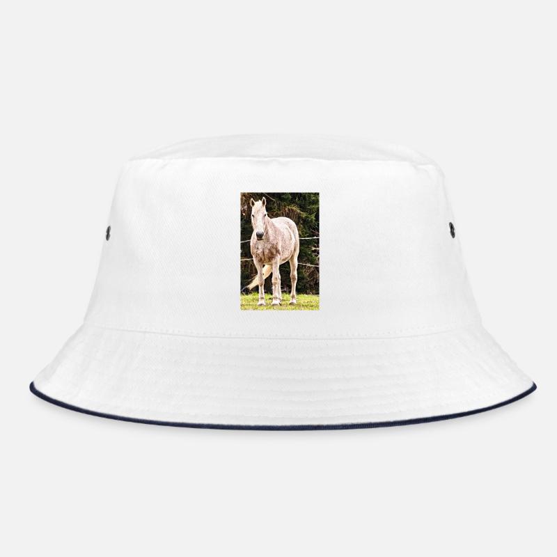 Affiche de portrait de cheval Apple Bob