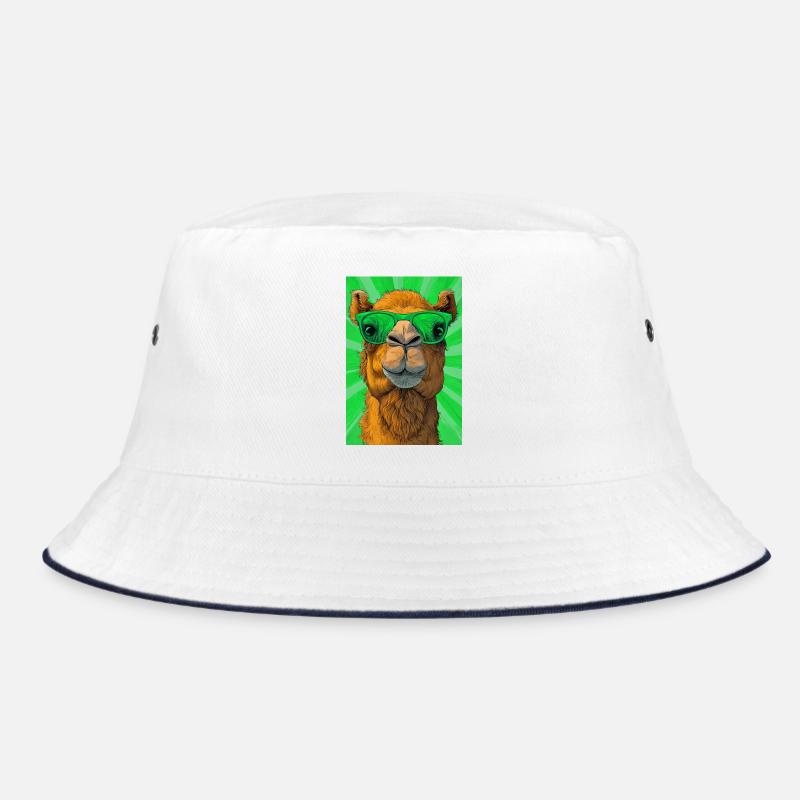 chameau Bob
