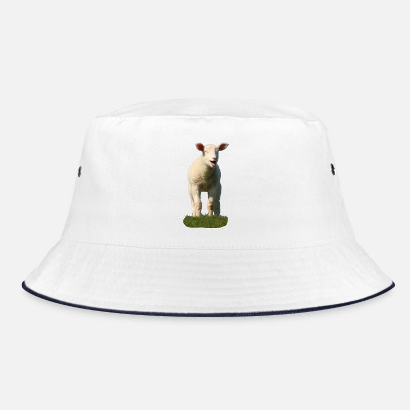 Süßes Schaf auf einer Weide Bucket Hat