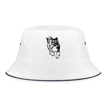 Border Collie - Bob - blanc/marine - Devant
