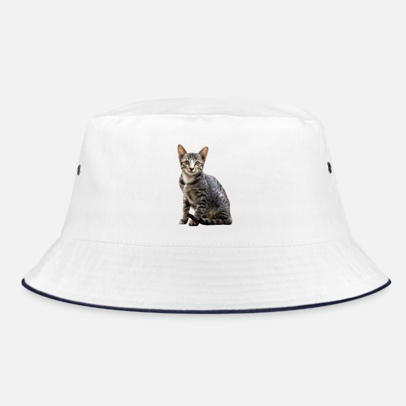 Chats Portrait vintage Chat Design de chat Bob