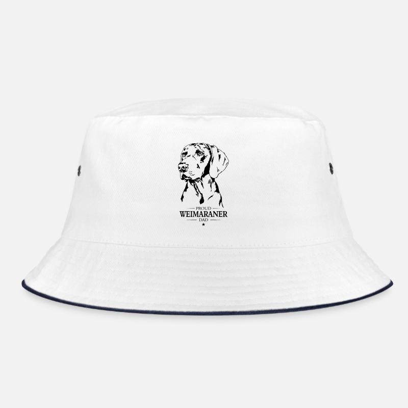 Braque de Weimar Papa Chiens Chien Chasse Chiens Wilsigns Bob