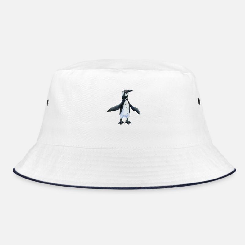 Manchot du Cap Bob