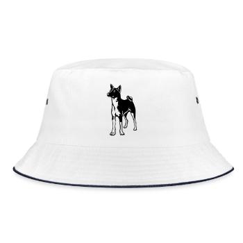 Basenji - Bob - blanc/marine - Devant