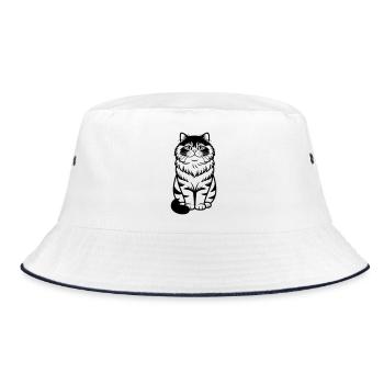 Chat persan - Bob - blanc/marine - Devant