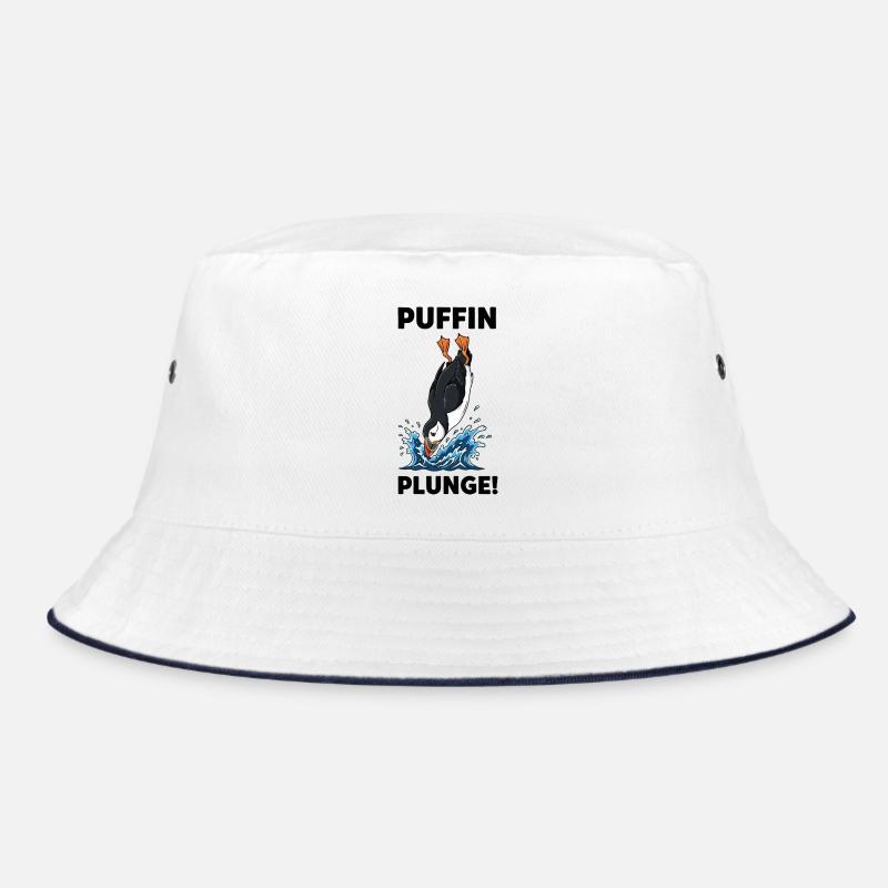 Macareux Moine Plongeon Mer Plunge Puffin Bob