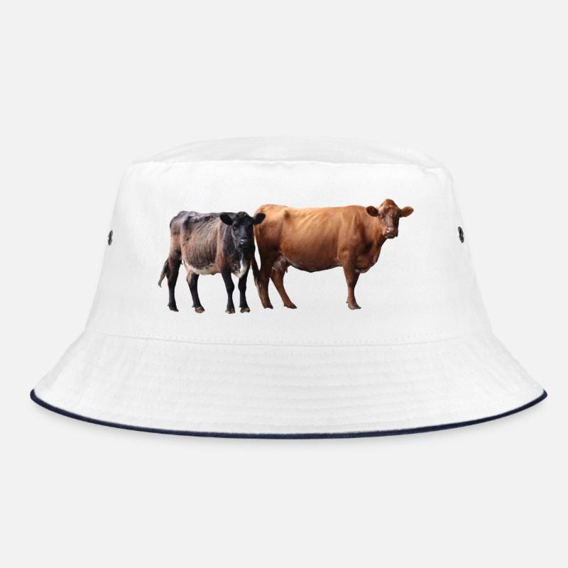Deux vaches Bob